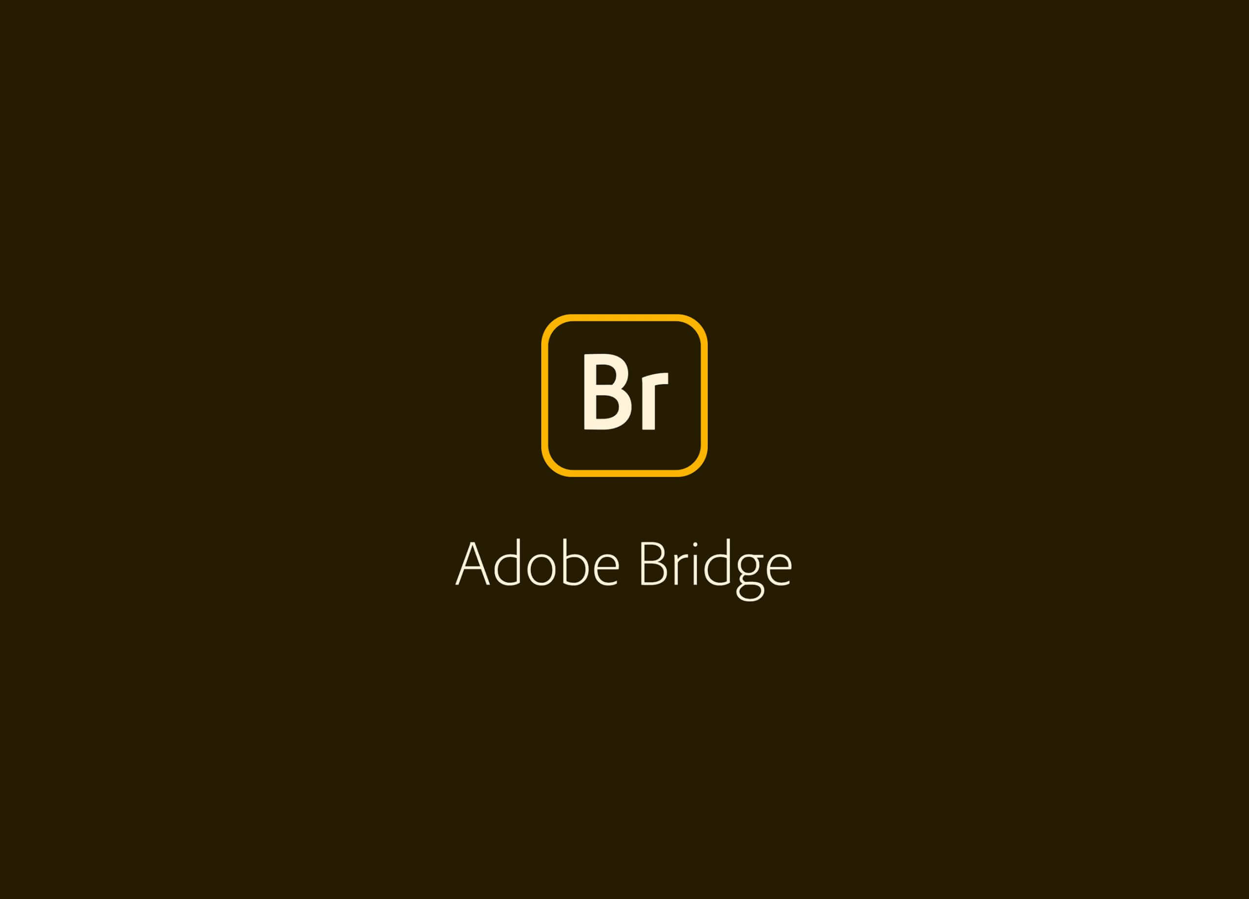 adobe bridge 2022中文版免费下载-bridge2022中文直装版-MAC良选